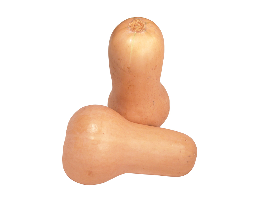 Butternut Squash