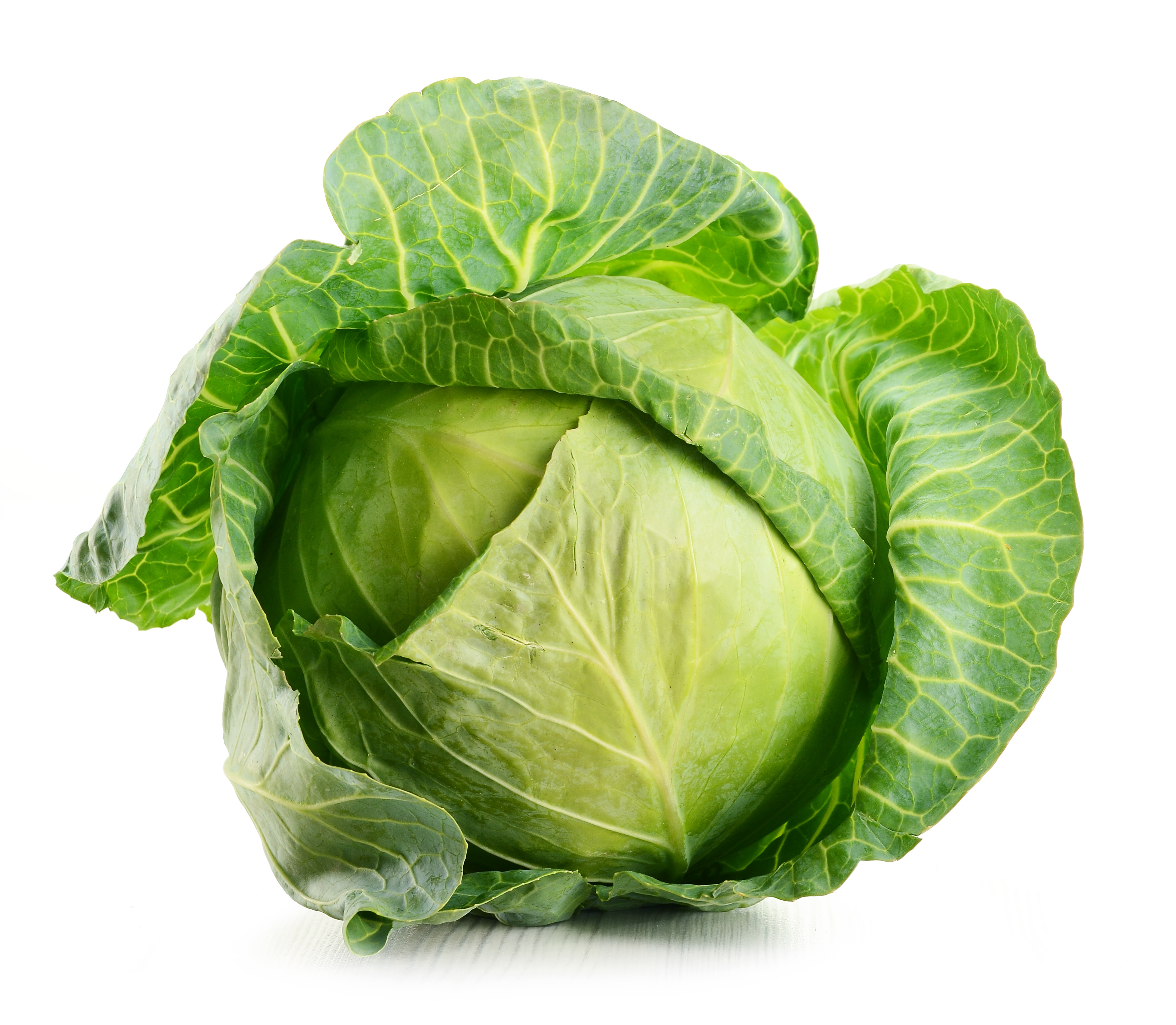 Cabbage