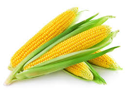 Sweetcorn